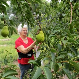 My Favorite Season of the Year Image